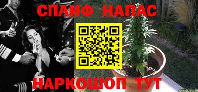 первитин Заводоуковск
