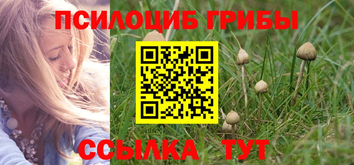 Псилоцибиновые грибы MAGIC MUSHROOMS  Галлюциногенные грибы прущие грибы  Вход с VPN  Лесосибирск 